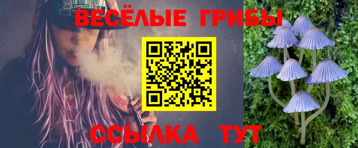 Карталы  Псилоцибиновые грибы мицелий  Вход с VPN  Галлюциногенные грибы GOLDEN TEACHER 